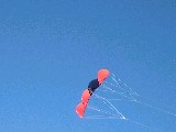 dscf0994b.jpg
