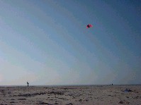 2003_0222_143233aa.jpg