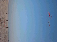 2003_0222_163004aa.jpg