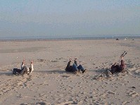 2003_0222_163146aa.jpg