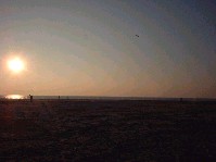 2003_0222_171342aa.jpg