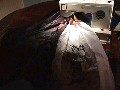 2002_1028_221316aa.jpg