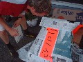 dscf5183.jpg