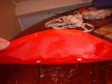 dscf1727.jpg