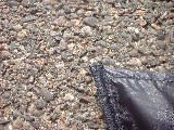 dscf2411.jpg