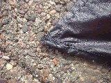 dscf2413.jpg