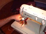 dscf1650.jpg
