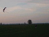 dscf2544.jpg