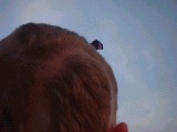 dscf2548.jpg