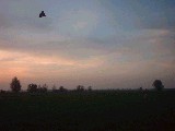 dscf2556.jpg