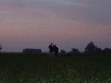 dscf2582.jpg