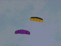 dsc6.jpg