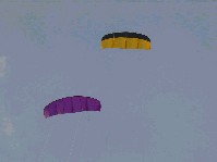 dsc7.jpg
