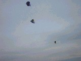 dscf0637.jpg