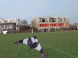dscf0662.jpg