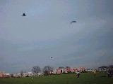 dscf0673.jpg