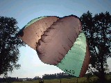 dscf3428.jpg
