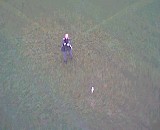 kitecam0008.jpg