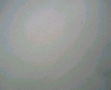 kitecam0011.jpg