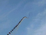 dscf1424.jpg