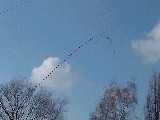 dscf1534.jpg