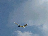 dscf1538.jpg
