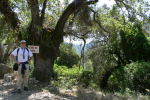 Klicken Sie auf das Bild, um es zu vergr&ouml;&szlig;ern