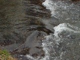 dscf1749.jpg