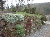 dscf1769.jpg