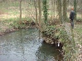 dscf1778.jpg