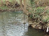 dscf1779.jpg