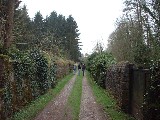 dscf1781.jpg
