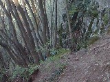 dscf1811.jpg