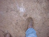 dscf1817.jpg