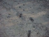 dscf1818.jpg