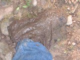 dscf1820.jpg