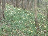 dscf1908.jpg