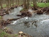 dscf1910.jpg