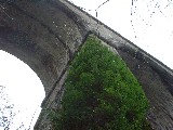 dscf1917.jpg