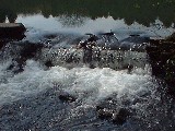 dscf1921.jpg