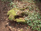 dscf1923.jpg