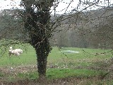 dscf1928.jpg