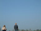 Klicken Sie auf das Bild, um es zu vergr&ouml;&szlig;ern
