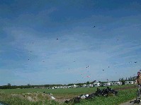 2003_0504_123202aa.jpg