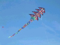 2003_0504_125852aa.jpg