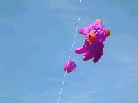 2003_0504_131012aa.jpg