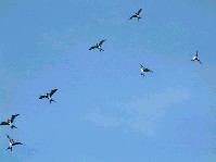 2003_0504_131608aa.jpg