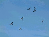 2003_0504_131620aa.jpg
