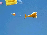 2003_0504_132136aa.jpg