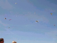 2003_0504_133258aa.jpg